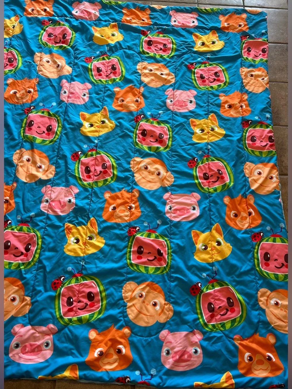 Moonbug Cocomelon Reversible Twin/Full Size Comforter. 64 X 86 Inch.